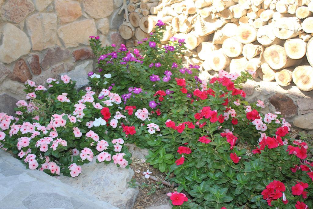 Modern&Quiet Place Eilat Esterno foto